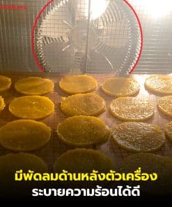 ตู้อบลมร้อนรุ่นเล็ก 16 ถาด (ขายดี) 8