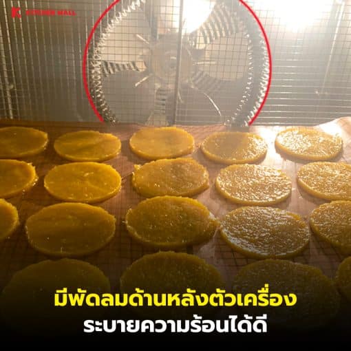 ตู้อบลมร้อนรุ่นเล็ก 16 ถาด (ขายดี) - Image 9